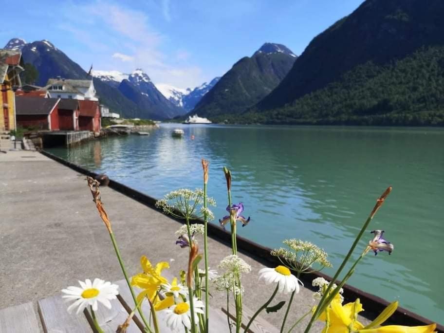 Sogndal Ski- And Mountain Cabin エクステリア 写真