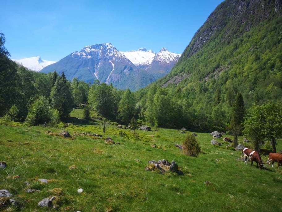 Sogndal Ski- And Mountain Cabin エクステリア 写真
